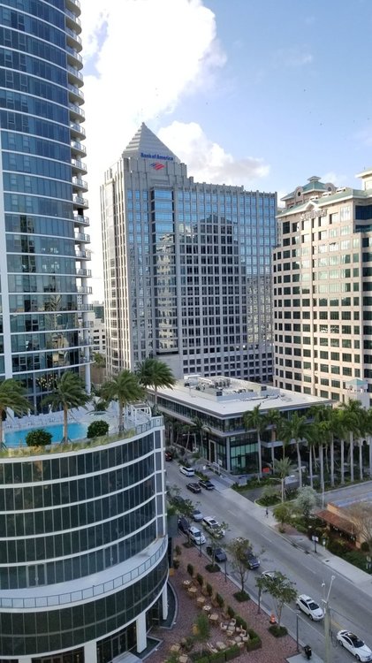 Ft Lauderdale view1.jpg