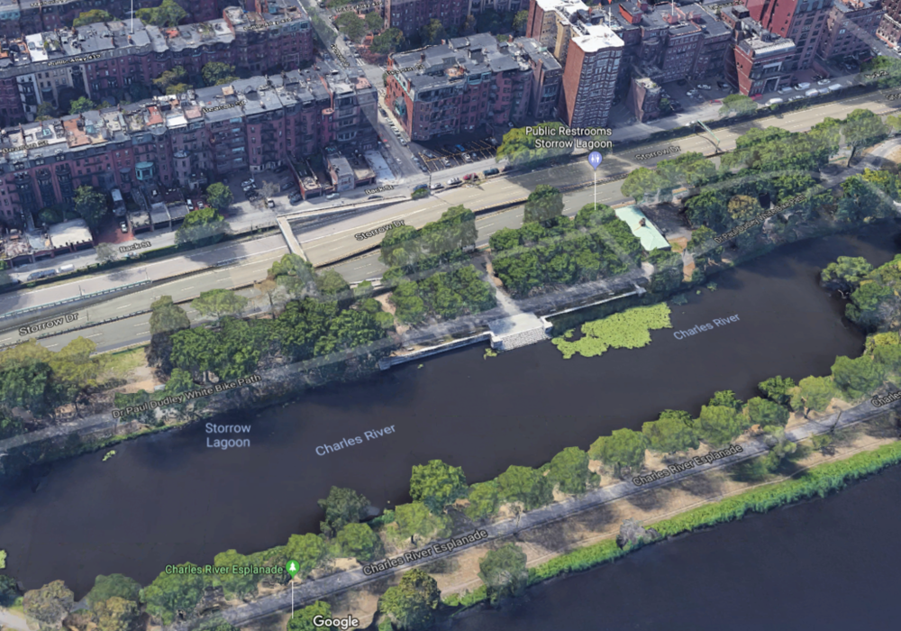 Back Bay.PNG