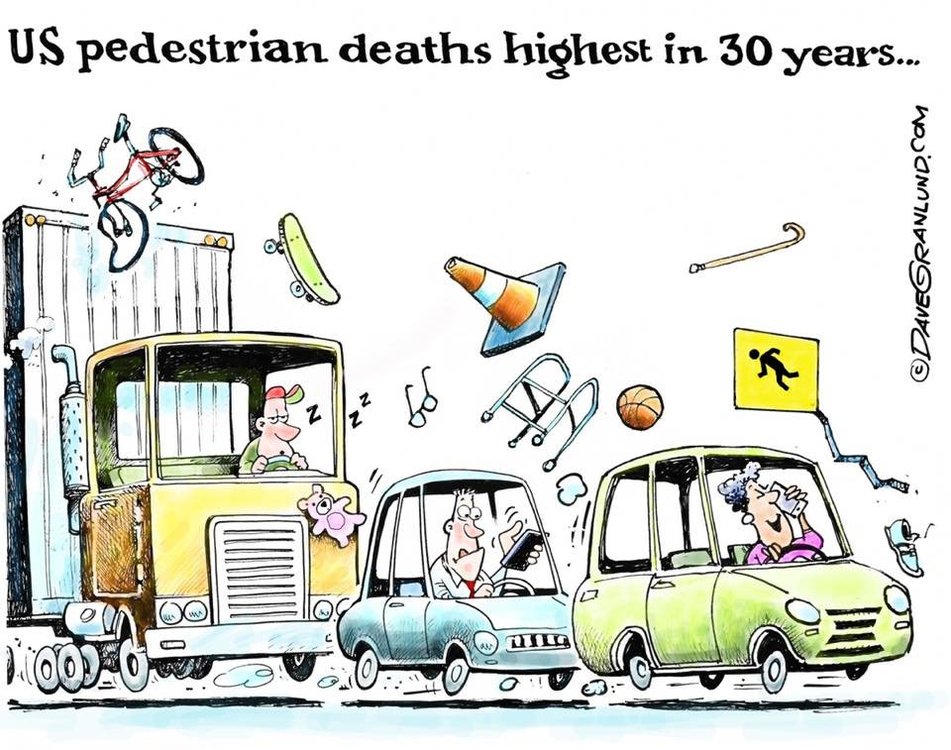 Pedestrian deaths.jpg