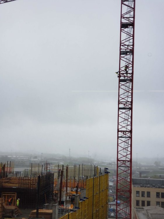 20190513_115439.jpg