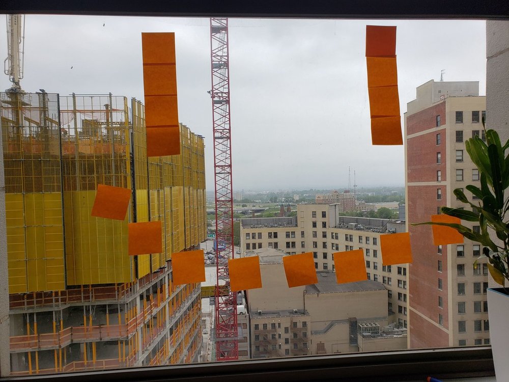 20190606_145909.jpg