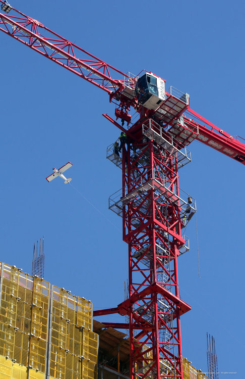 lumencrane062119.jpg