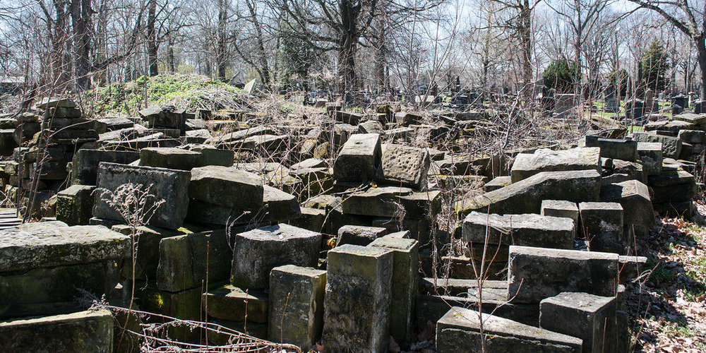 piles.thumb.jpg.44b09e1f54fab05dd4eeb77d584a31c3.jpg