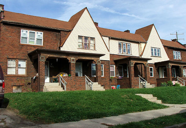 Linden14.jpg