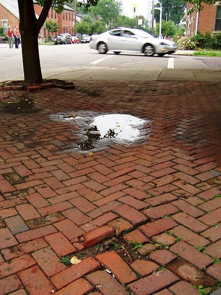 GV77.jpg