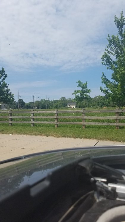 20190702_143306.jpg