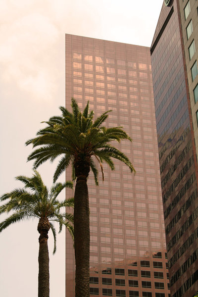 08ApriLosAngeles5.jpg