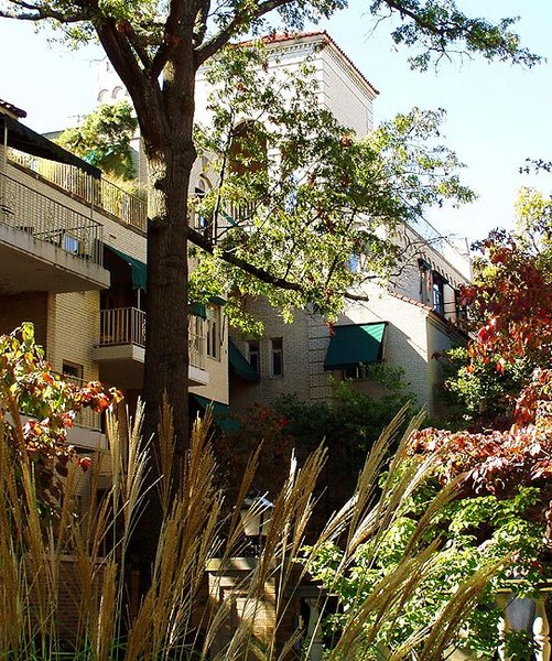 1HydePark9.jpg