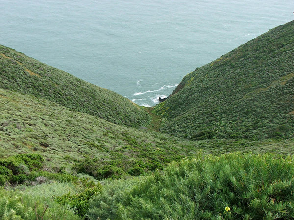 2006SanFran16.jpg