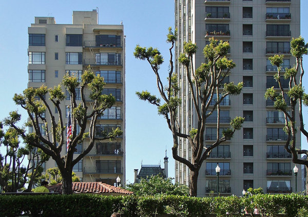 2006SanFran51.jpg