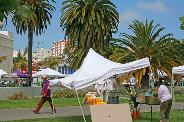 2007Oakland49.jpg