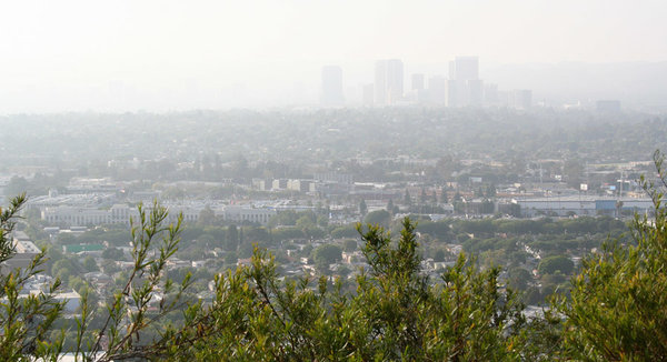 2013LosAngeles20.jpg
