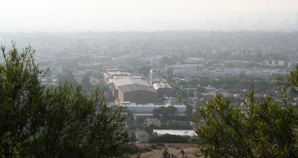 2013LosAngeles21.jpg