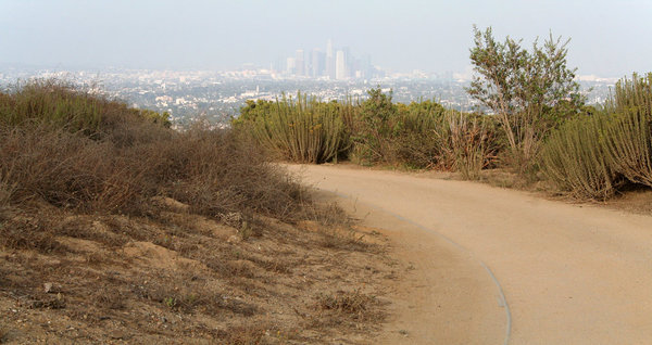 2013LosAngeles22.jpg