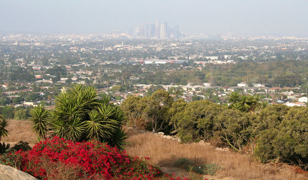 2013LosAngeles25.jpg