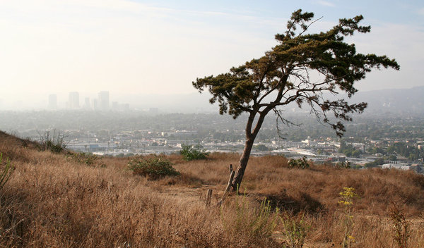 2013LosAngeles26.jpg