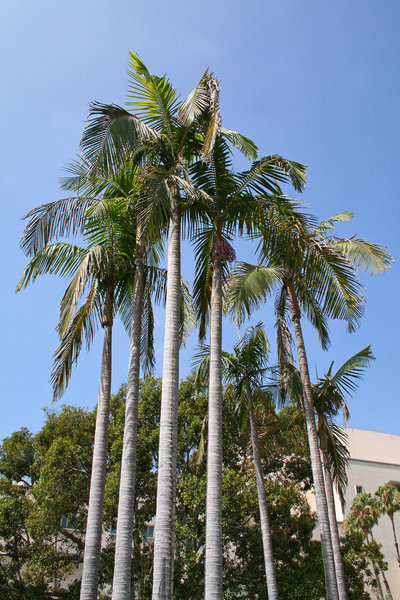 2013LosAngeles72.jpg