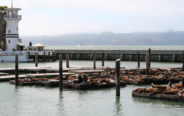 2016SanFran93.jpg