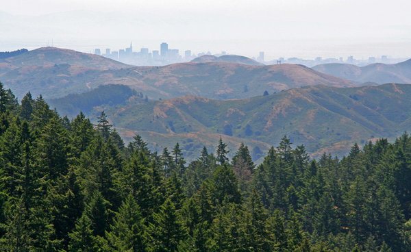 CentralCoast10.jpg