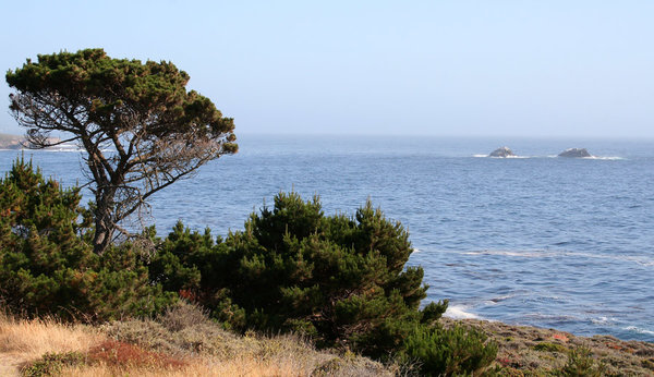 CentralCoast52.jpg