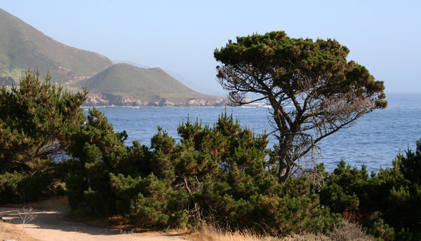 CentralCoast53.jpg