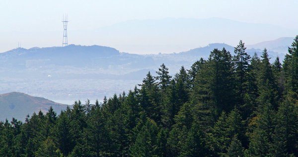 CentralCoast8.jpg
