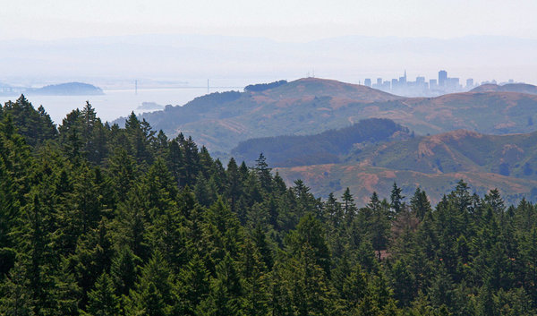 CentralCoast9.jpg