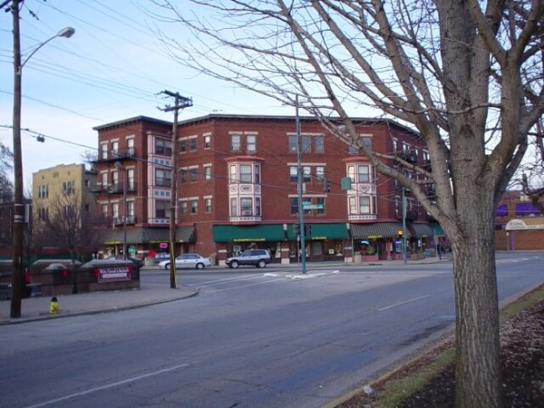 DSC01610.jpg