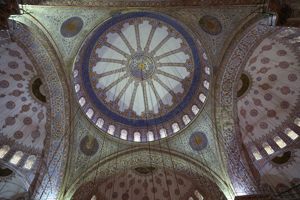 IMG_1256ag.jpg
