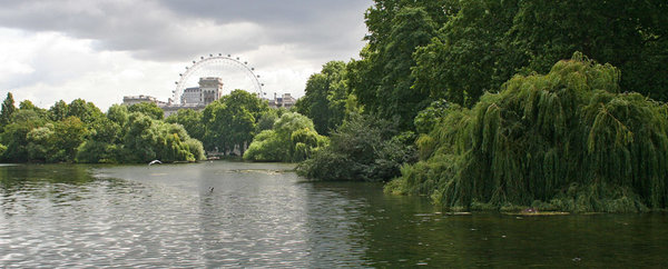 London23.jpg