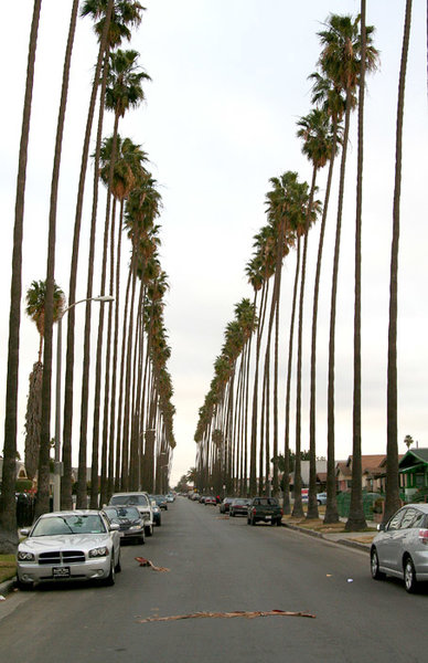 LosAngeles35.jpg