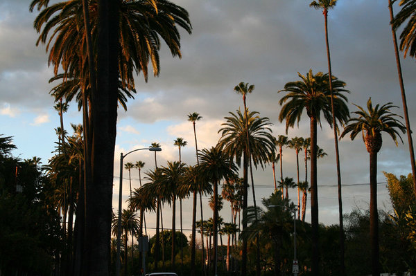 LosAngeles85.jpg