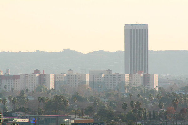 LosAngelesCA110.jpg