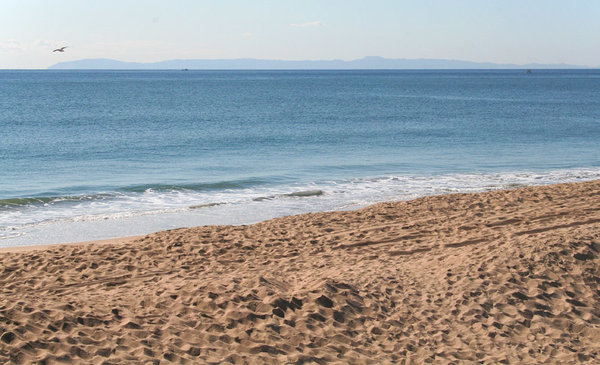 LosAngelesCA8.jpg