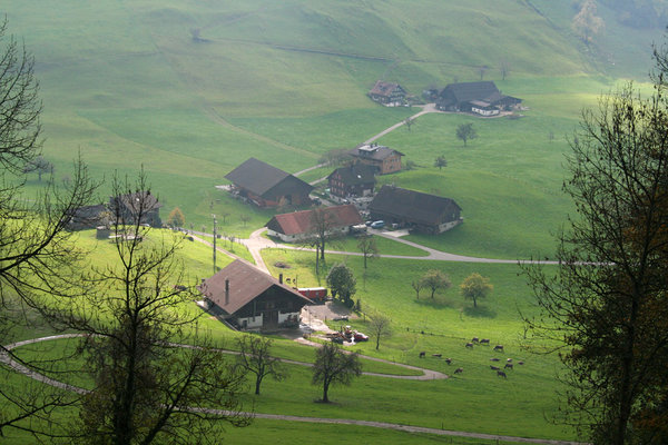 Lucerne19.jpg