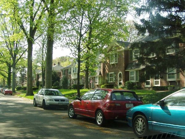 Mar11.jpg