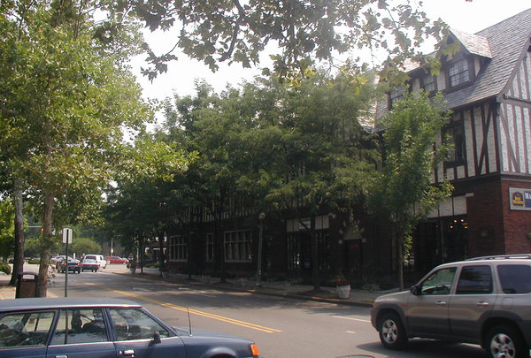 MariemontStreet.jpg
