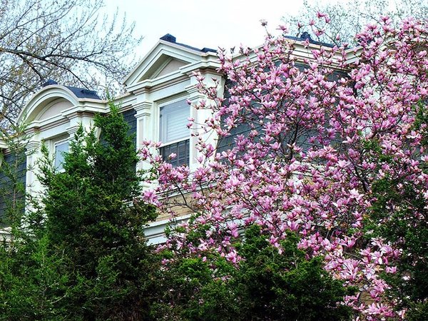 NewportMansionHill22.jpg