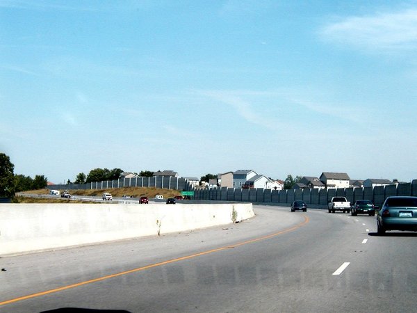 P1010289.jpg