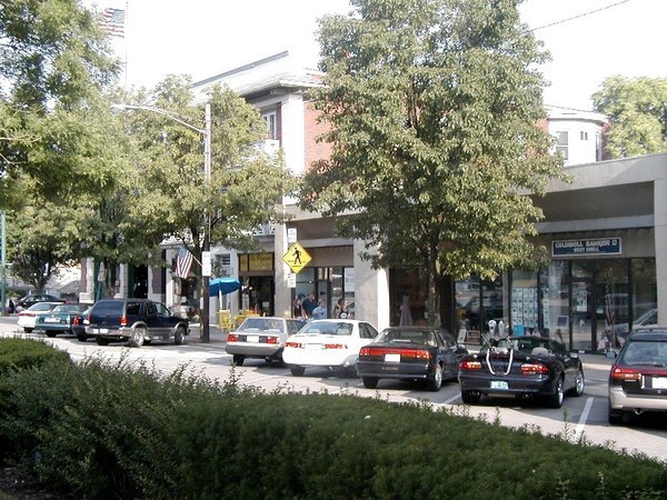 P1010342.jpg