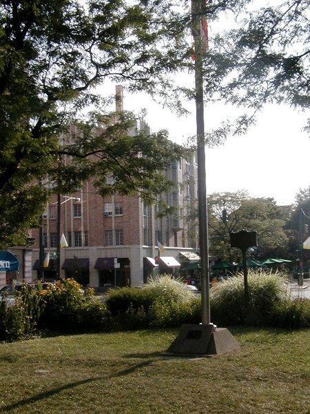 P1010344.jpg