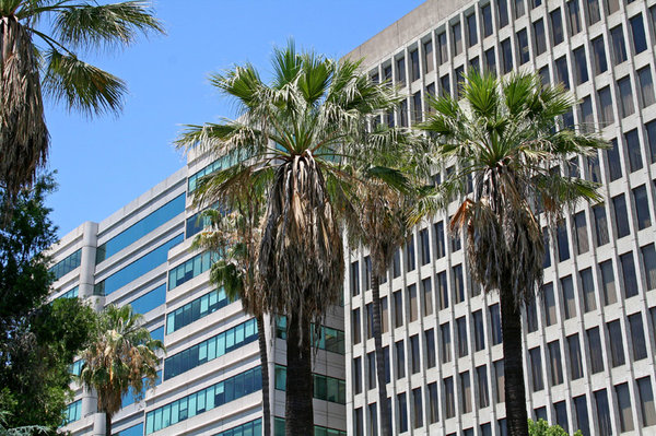 Sacramento27.jpg