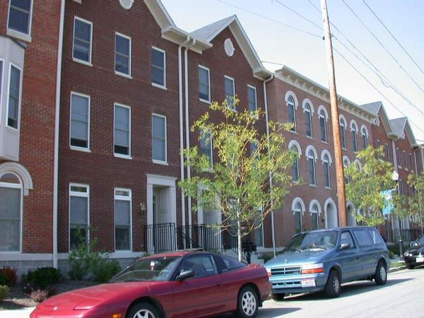 cincyo009.jpg