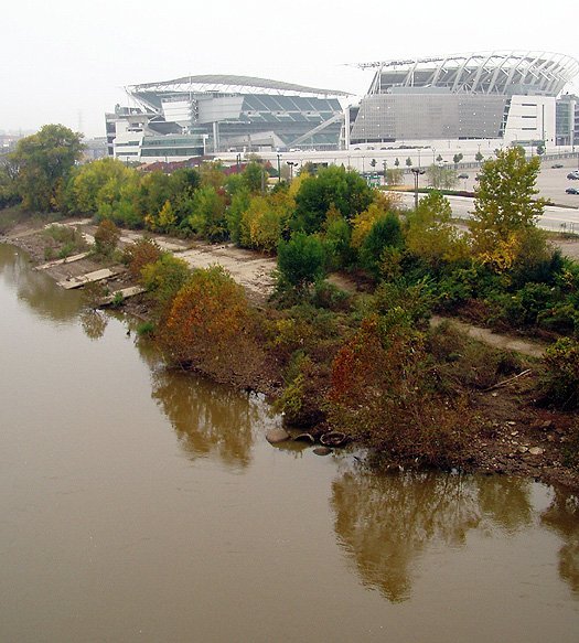DT8.jpg