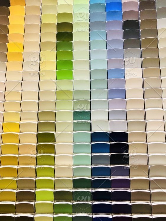 paint .jpg