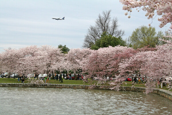 08MarchDC24.jpg