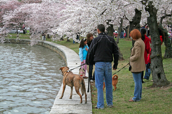 08MarchDC25.jpg
