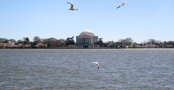 09AprilDC19.jpg
