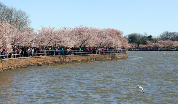 09AprilDC21.jpg