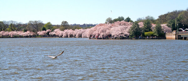 09AprilDC22.jpg